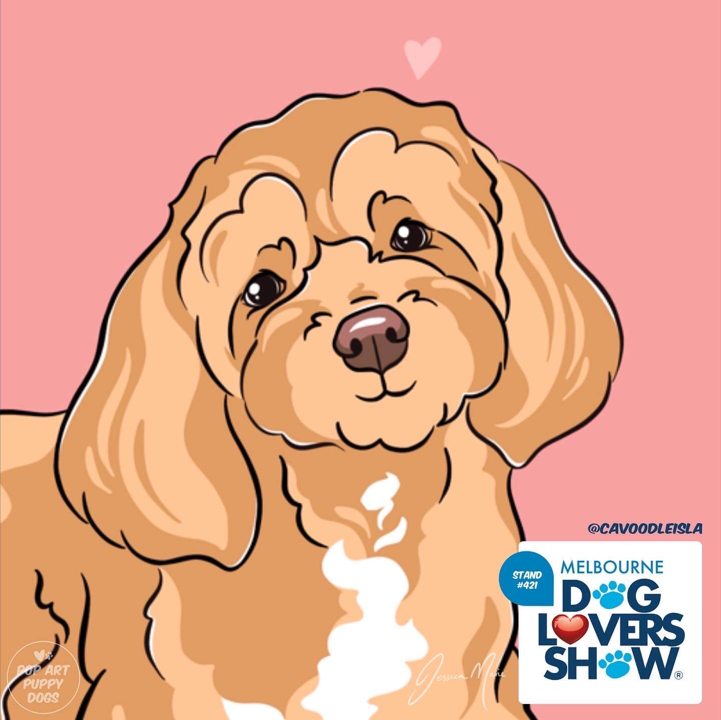 Isla @cavoodleisla Dog Lovers Show Melbourne 2022 | Pop Art Puppy Dogs