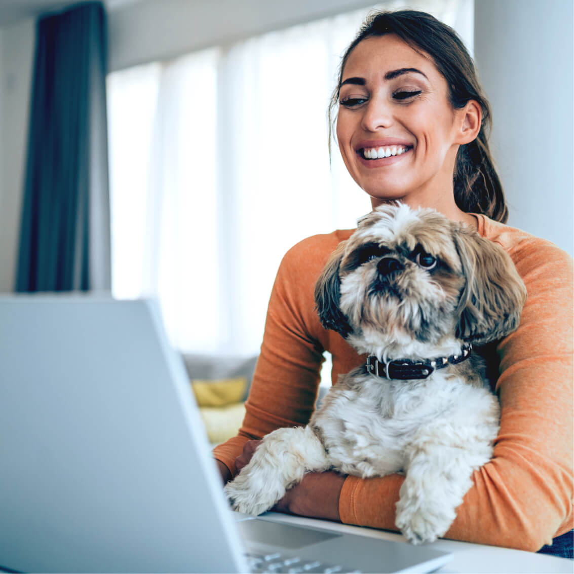 young woman and dog looking at laptop